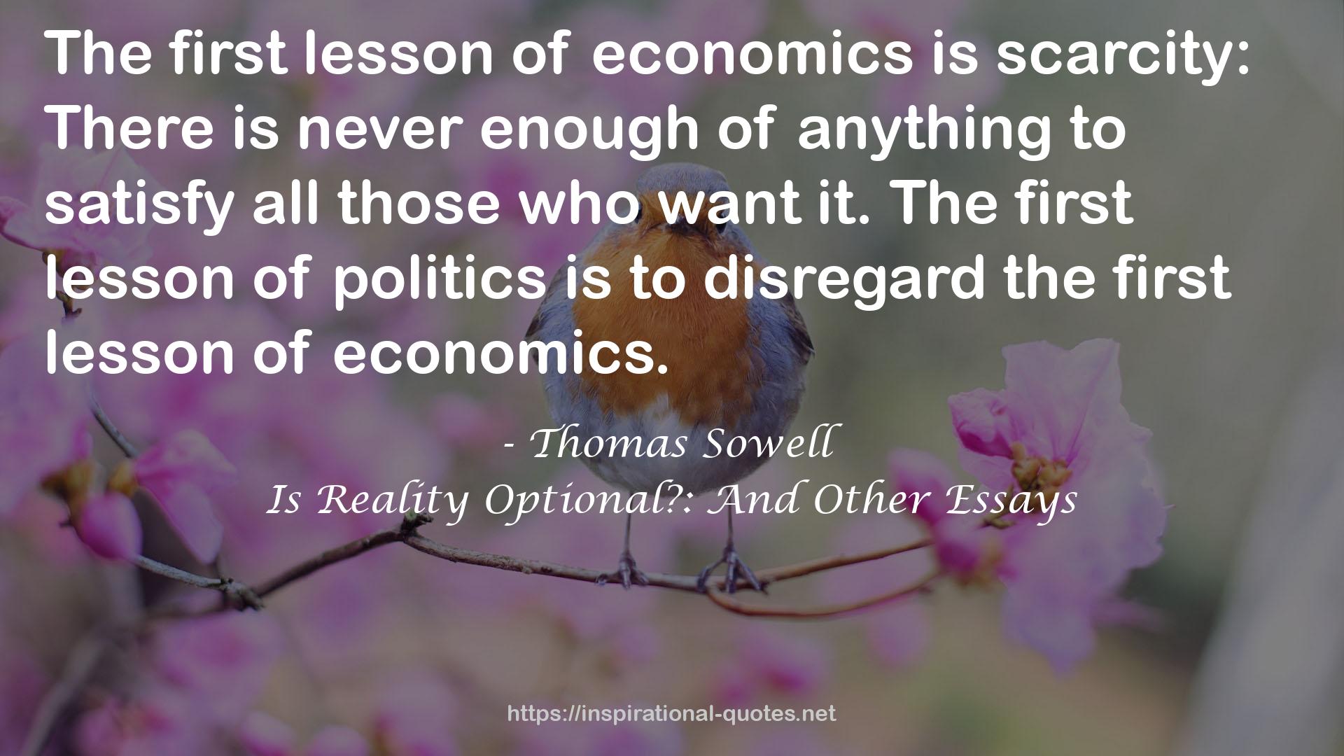 Is Reality Optional?: And Other Essays QUOTES