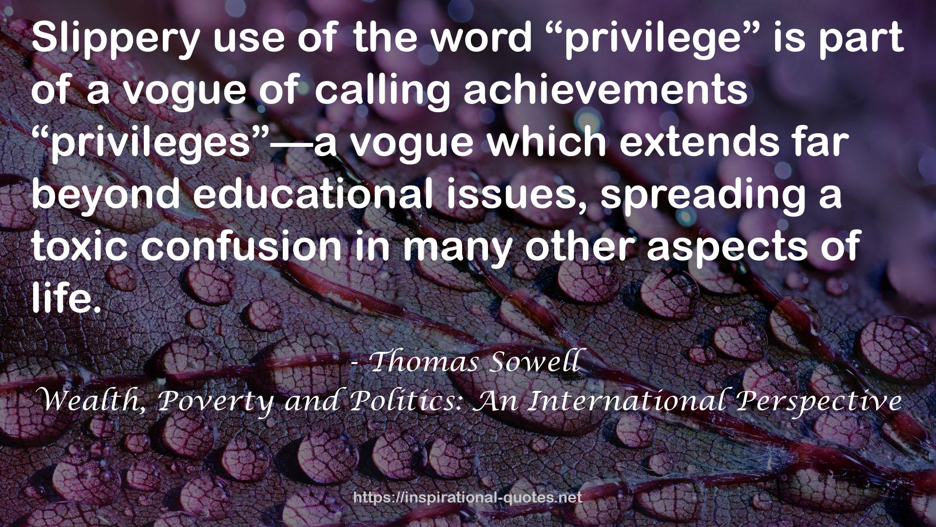 Wealth, Poverty and Politics: An International Perspective QUOTES