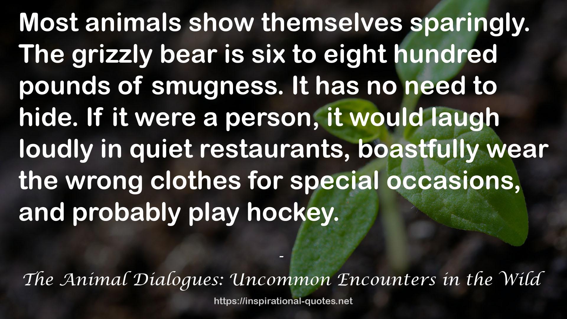 The grizzly bear  QUOTES