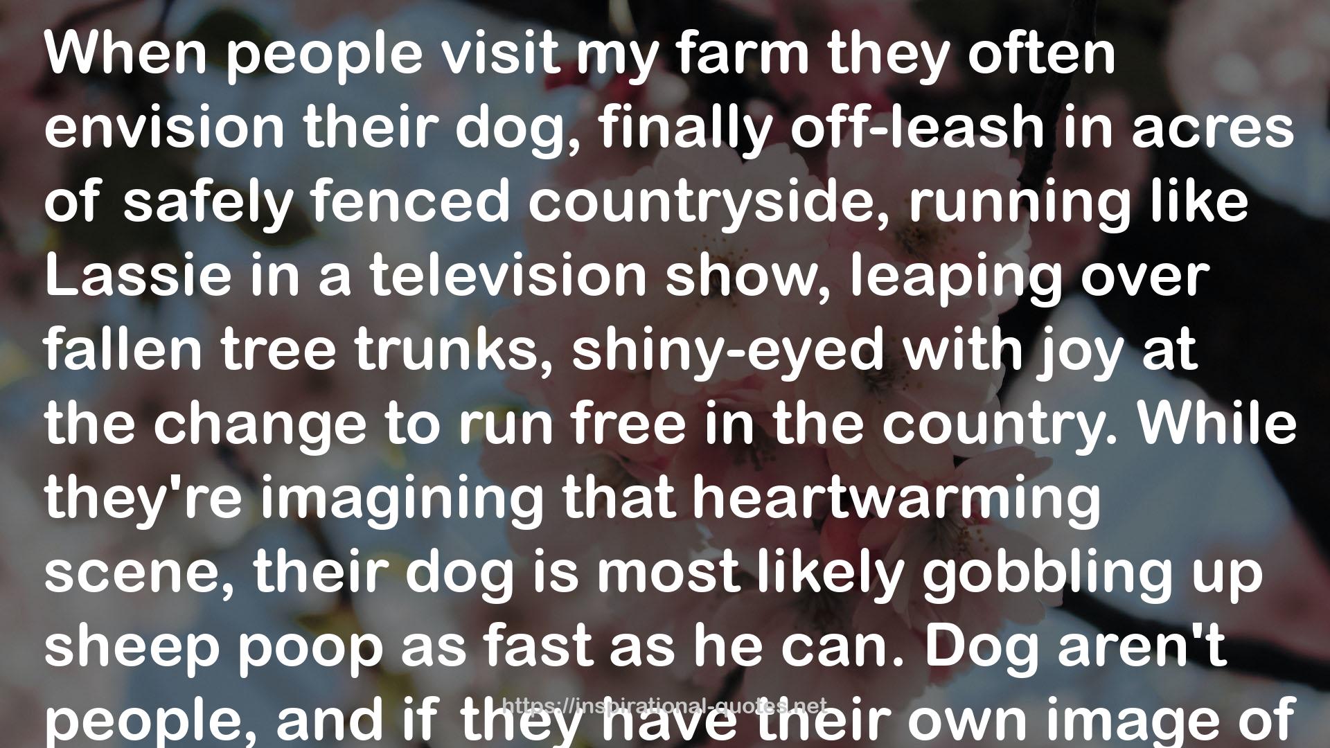 their dog  QUOTES