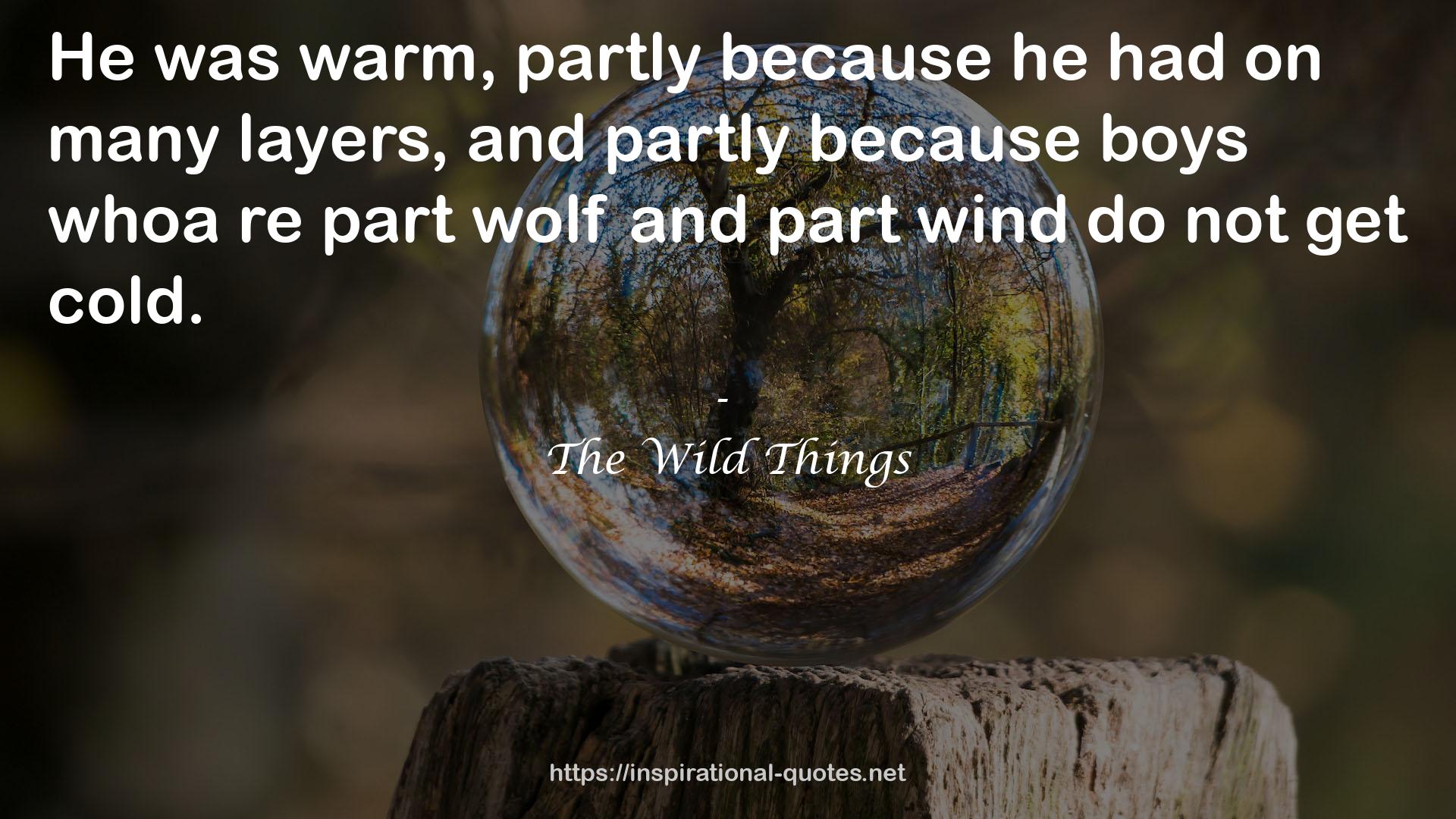 The Wild Things QUOTES