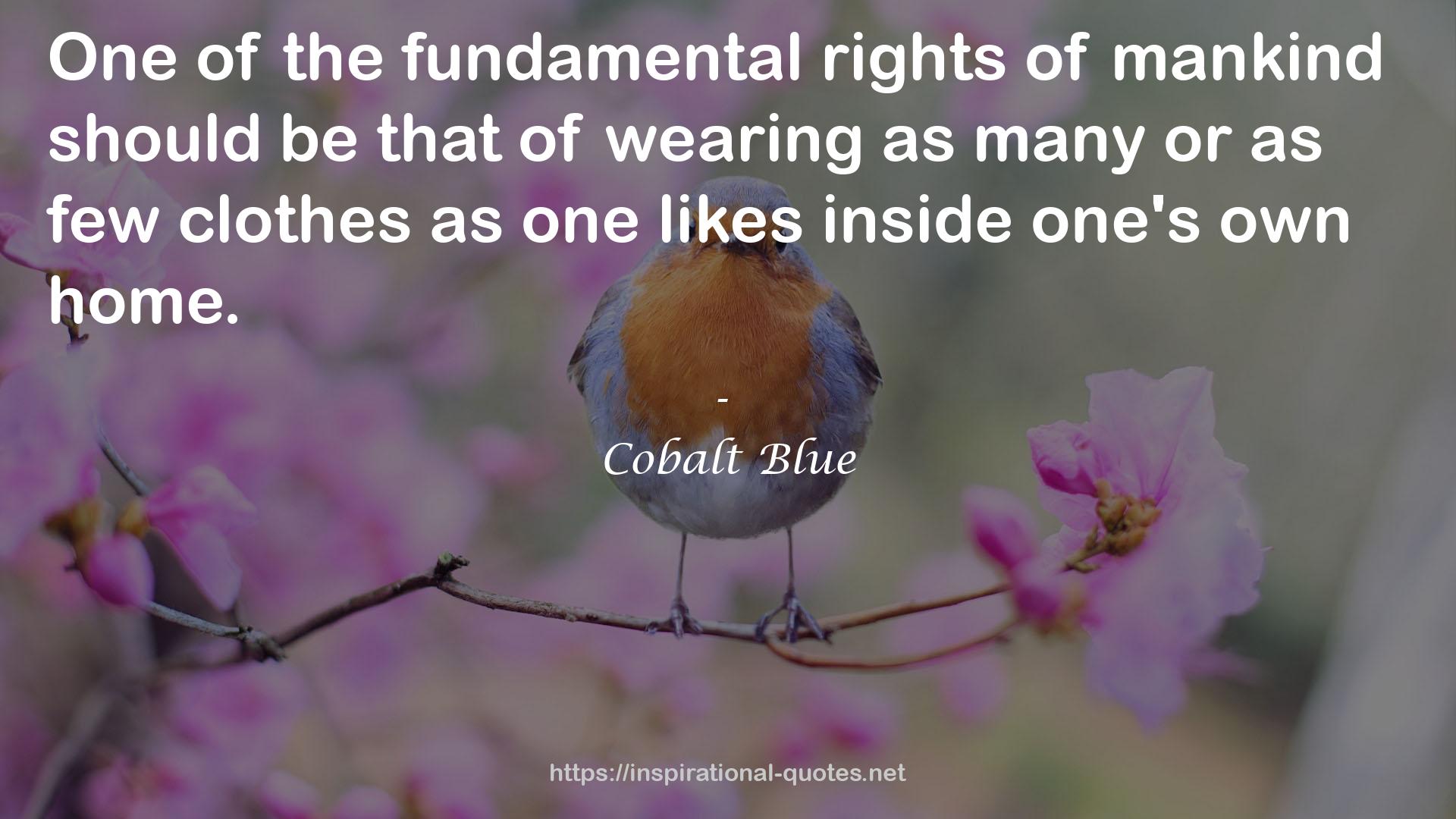 the fundamental rights  QUOTES