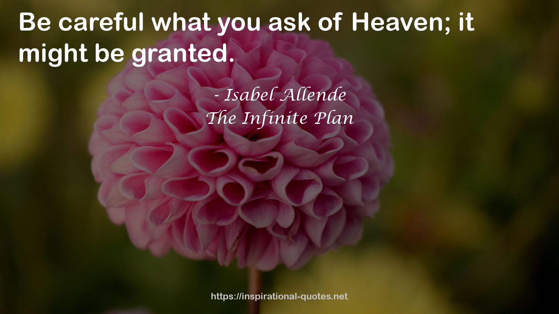 The Infinite Plan QUOTES