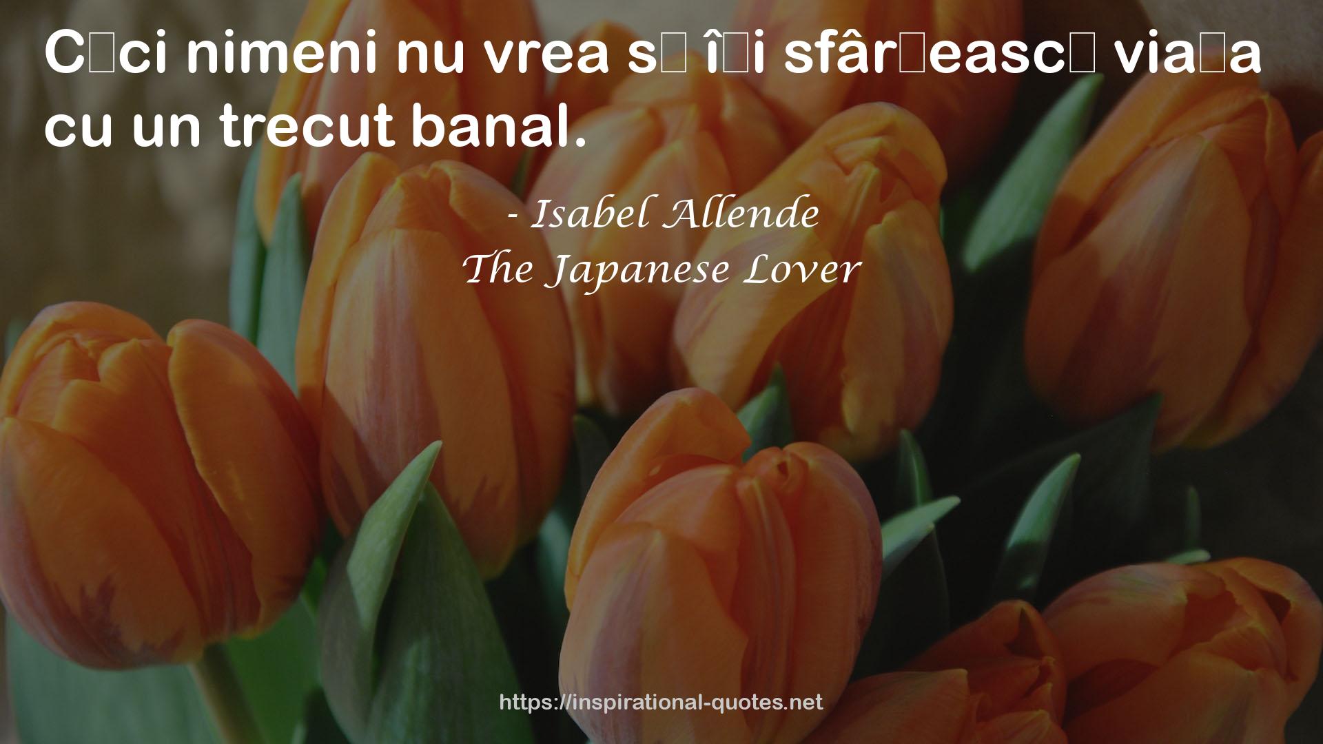 The Japanese Lover QUOTES