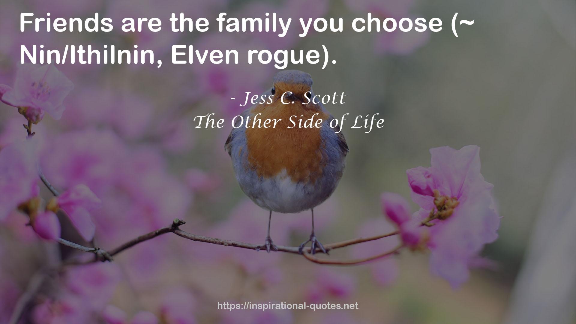 The Other Side of Life QUOTES