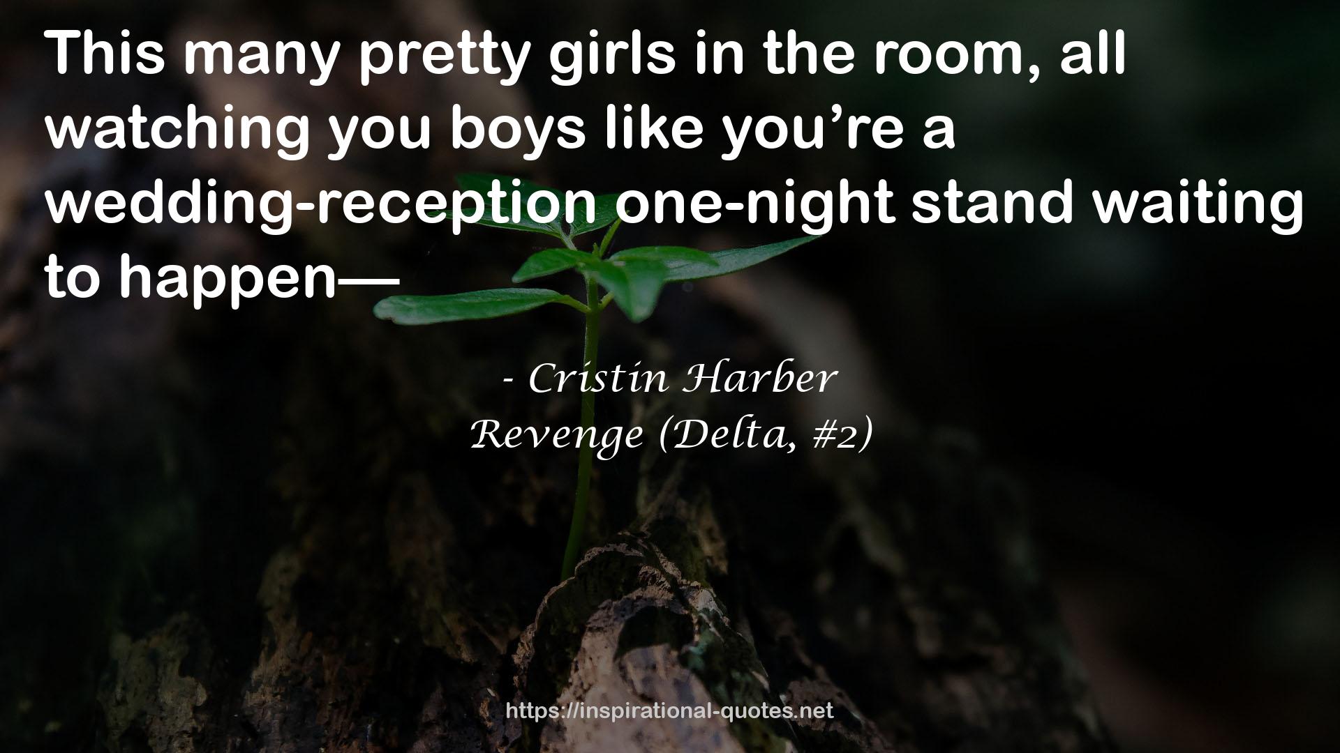 a wedding-reception one-night stand  QUOTES