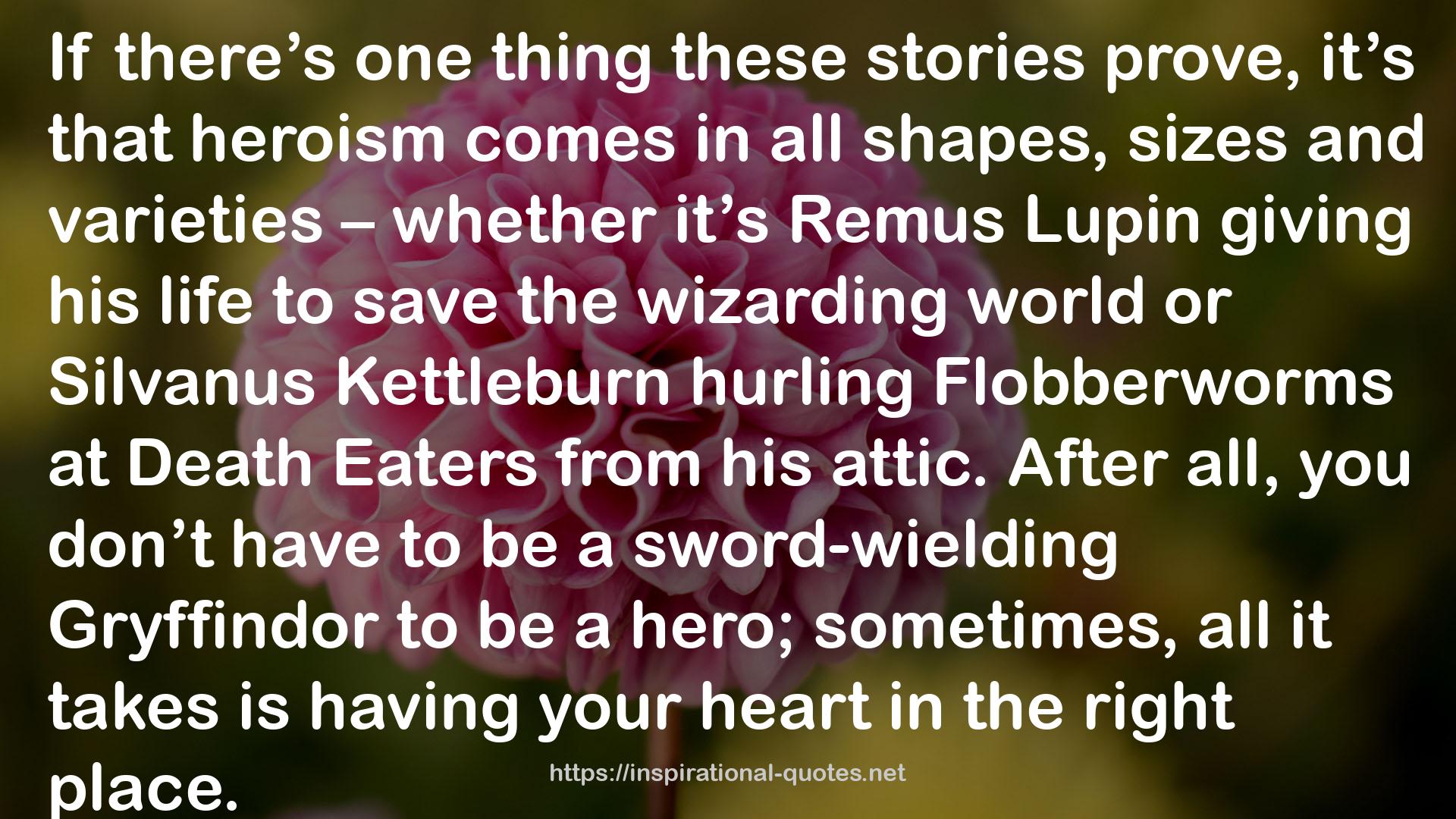Short Stories from Hogwarts of Heroism, Hardship and Dangerous Hobbies (Pottermore Presents, #1) QUOTES