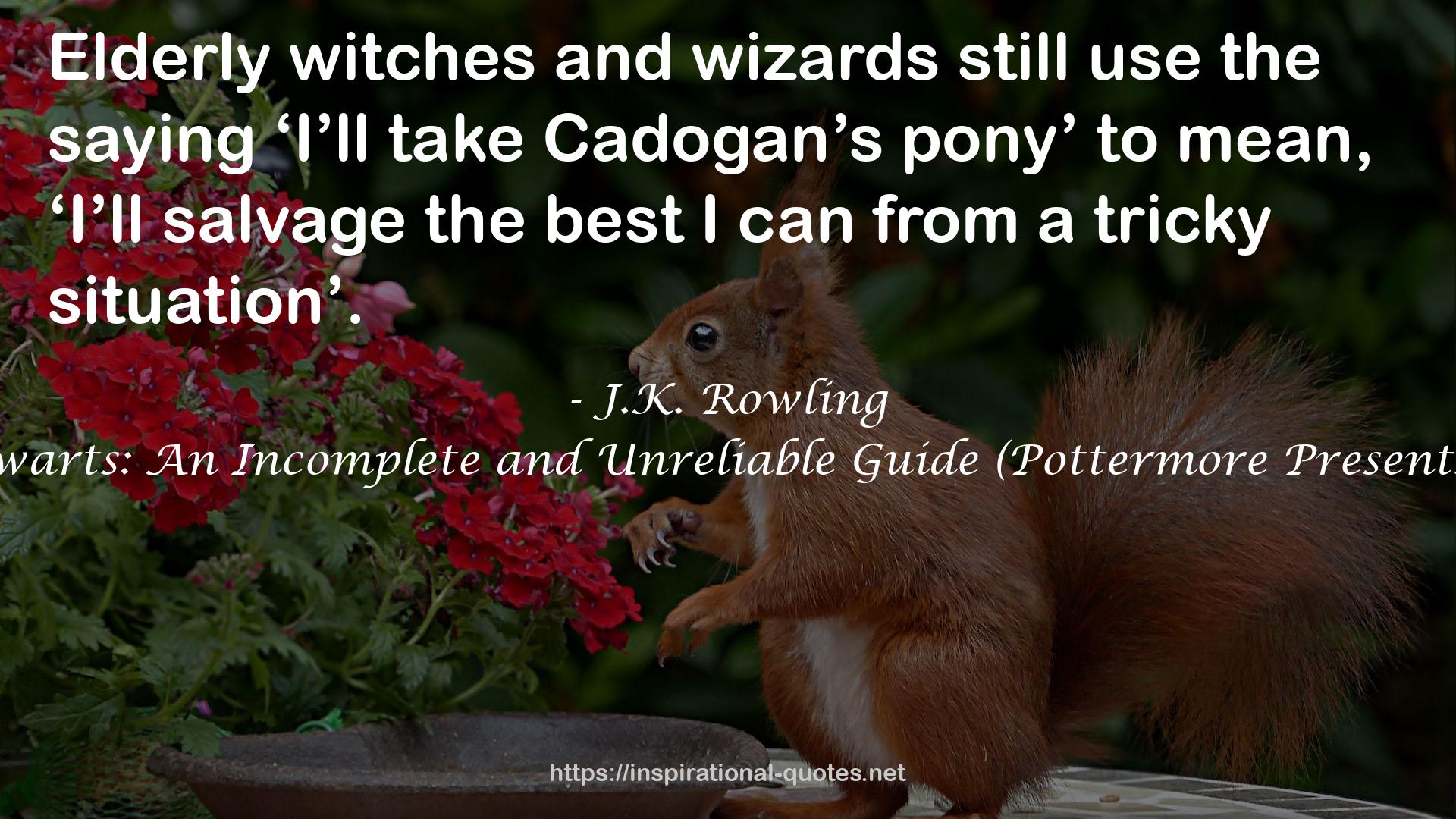 Hogwarts: An Incomplete and Unreliable Guide (Pottermore Presents, #3) QUOTES