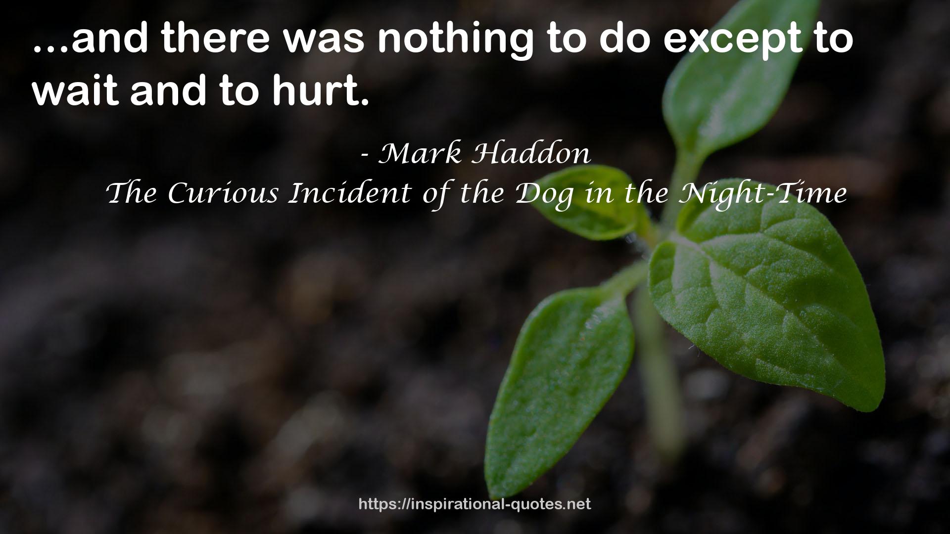 The Curious Incident of the Dog in the Night-Time QUOTES