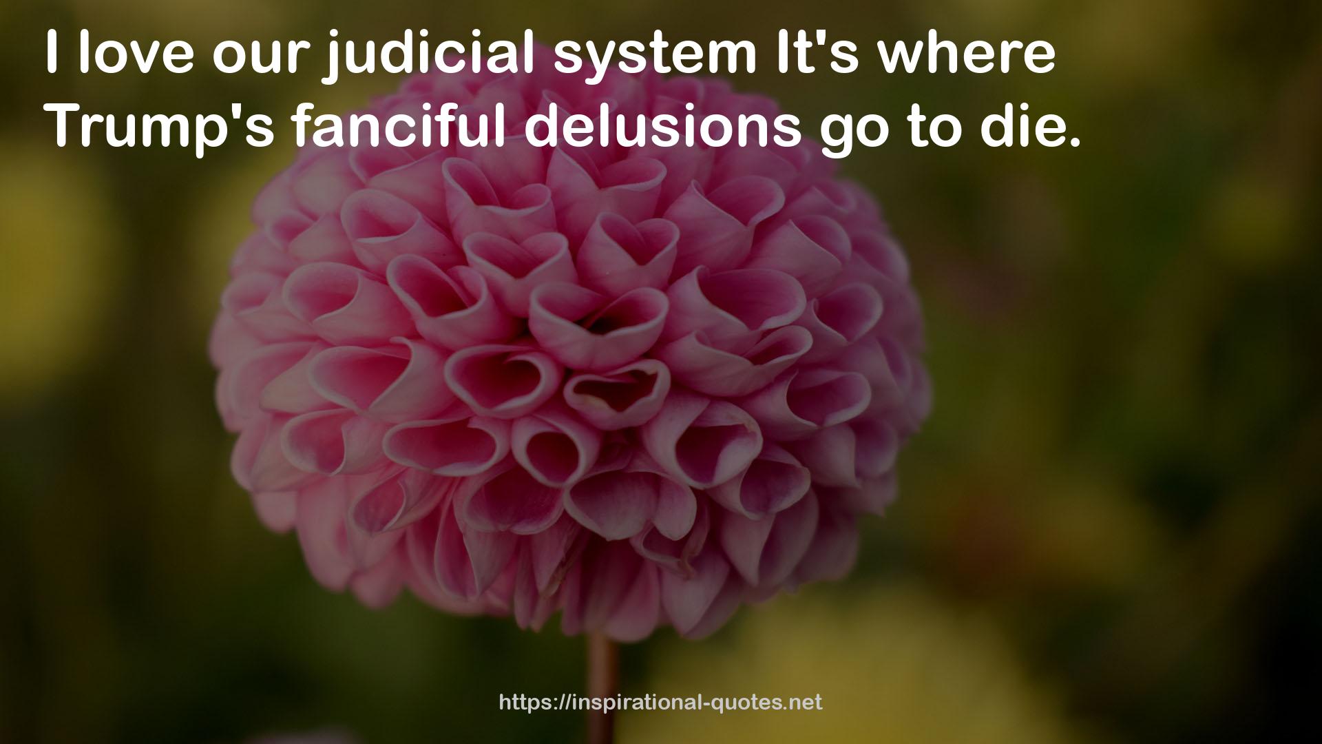 our judicial system  QUOTES