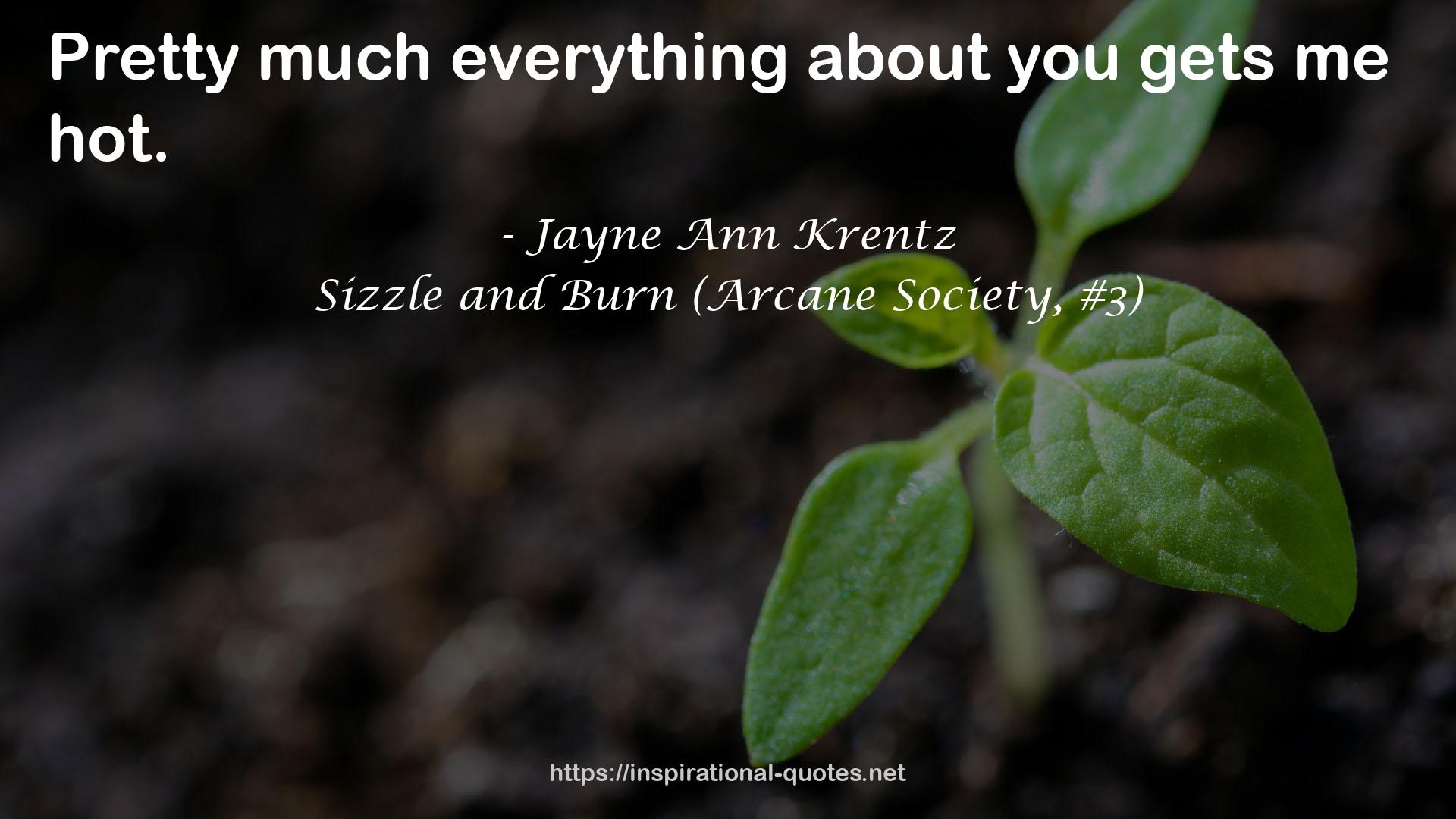 Sizzle and Burn (Arcane Society, #3) QUOTES