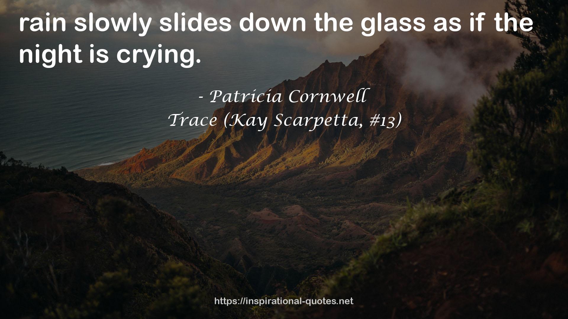 Trace (Kay Scarpetta, #13) QUOTES