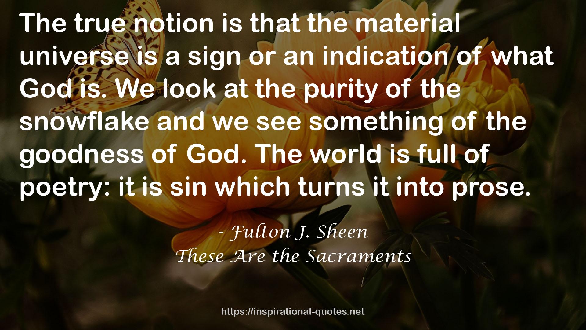 These Are the Sacraments QUOTES