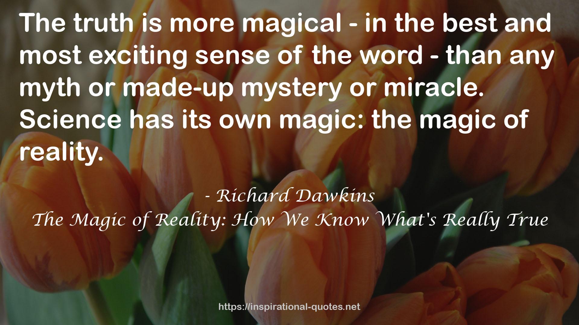 The Magic of Reality: How We Know What's Really True QUOTES