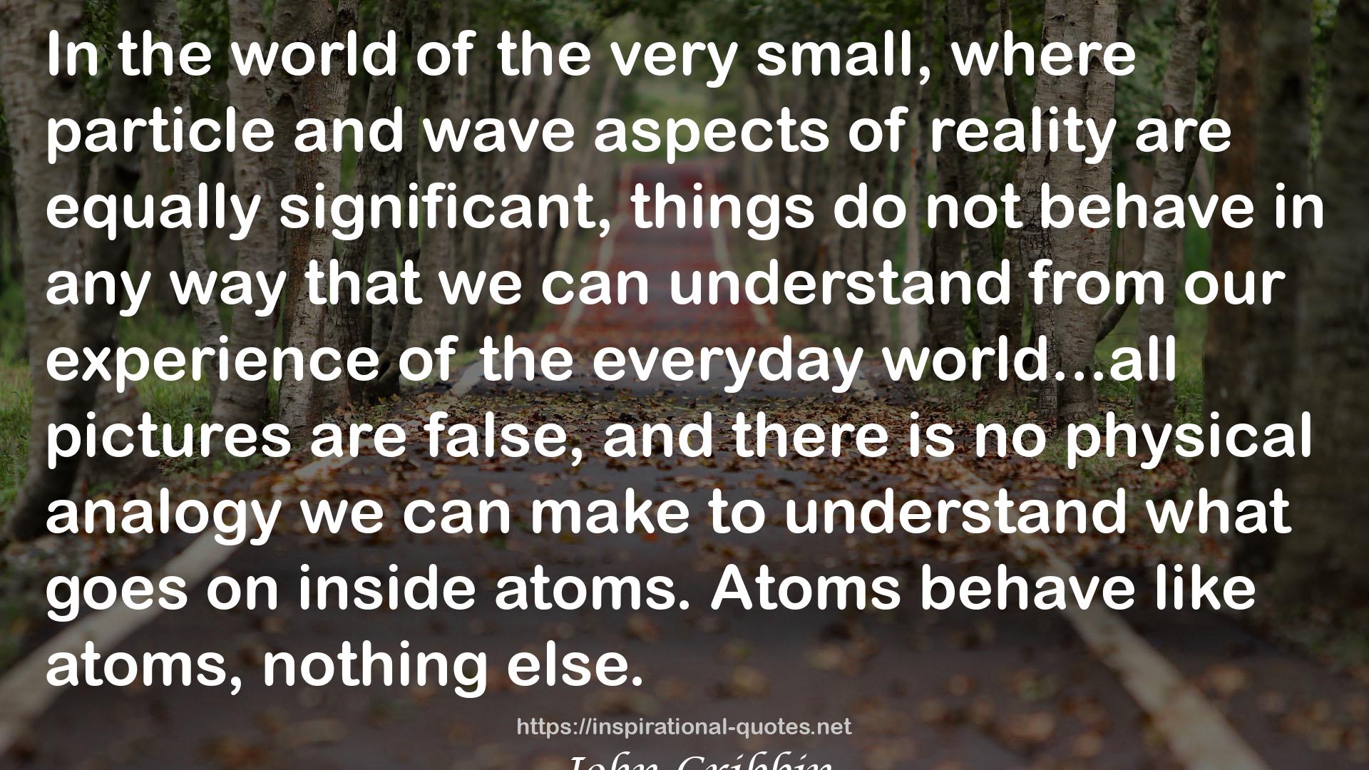 In Search of Schrödinger's Cat: Quantum Physics and Reality QUOTES