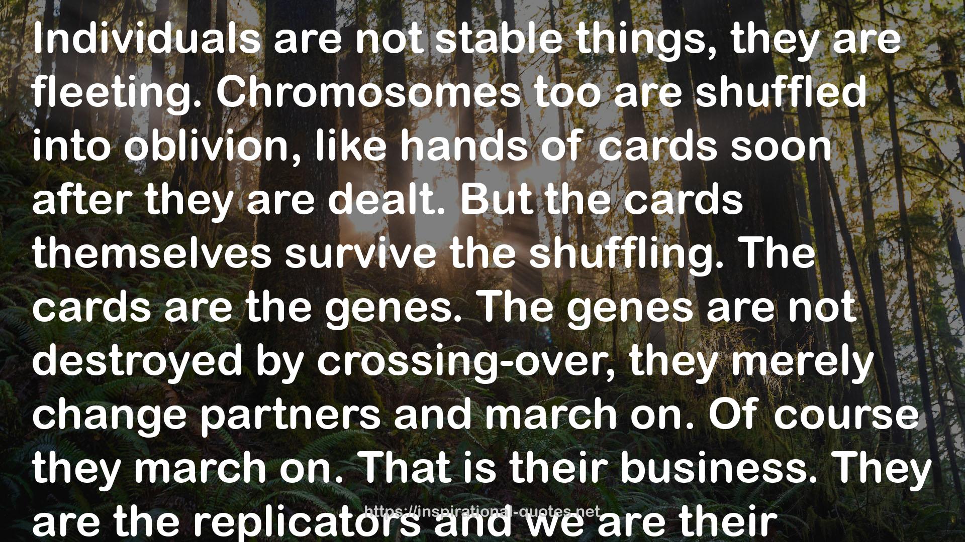 Chromosomes  QUOTES