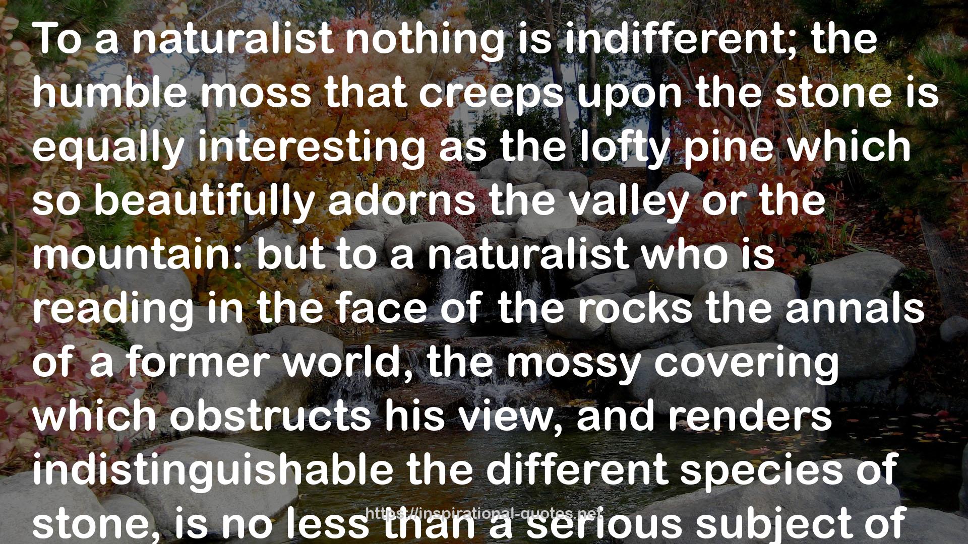 a naturalist  QUOTES