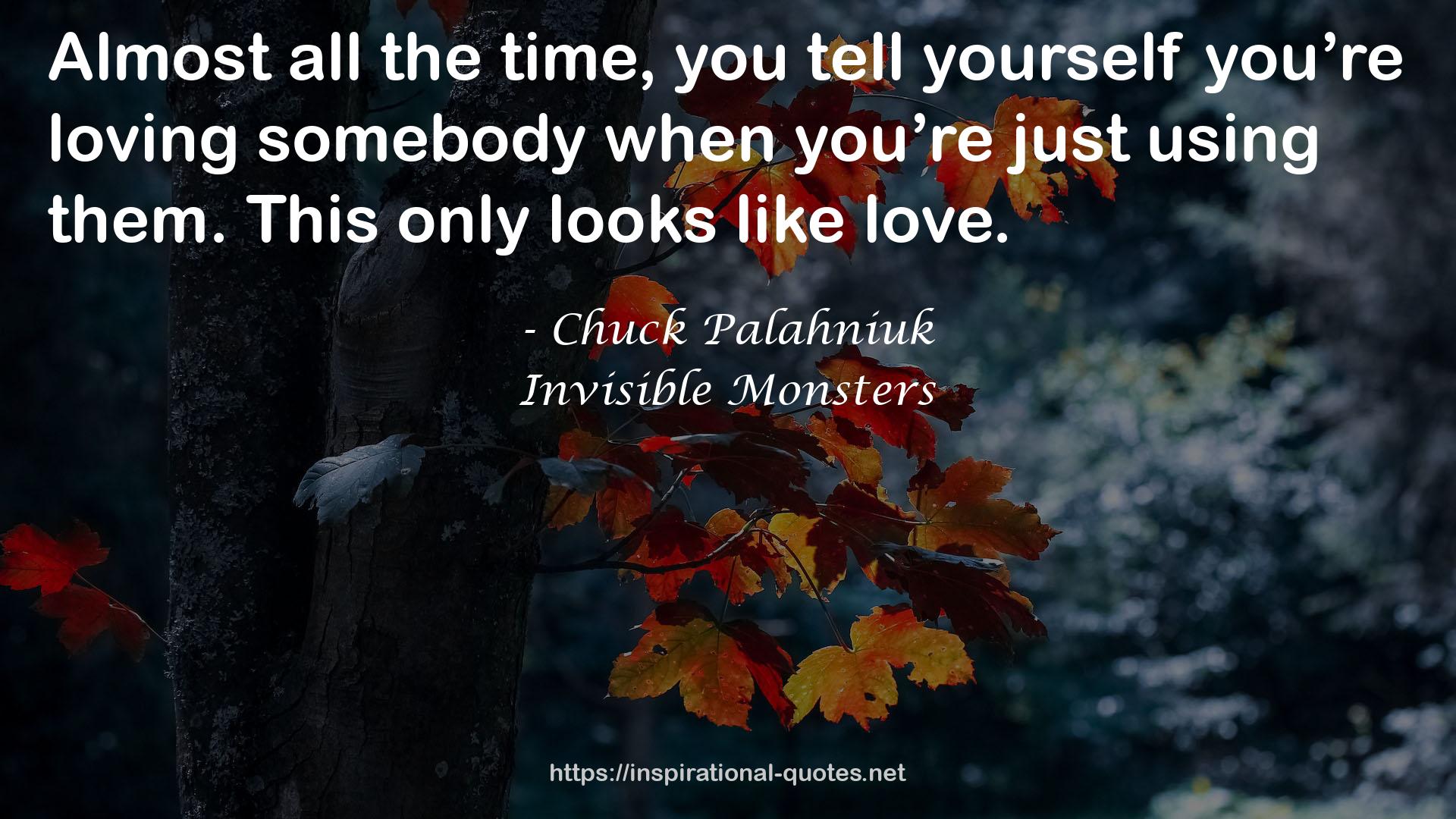 Invisible Monsters QUOTES