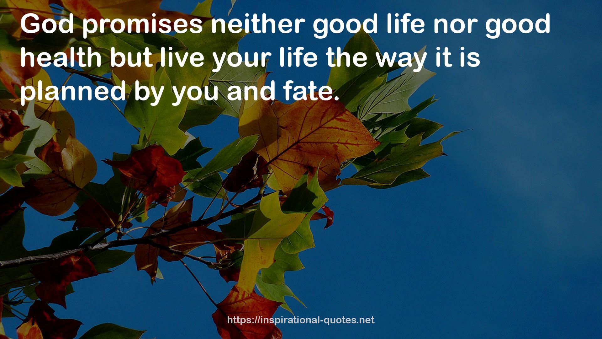 neither good life  QUOTES