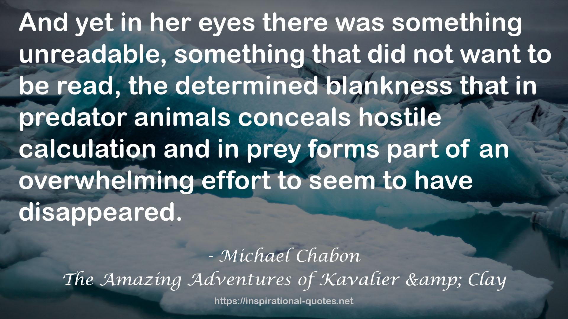 Michael Chabon QUOTES