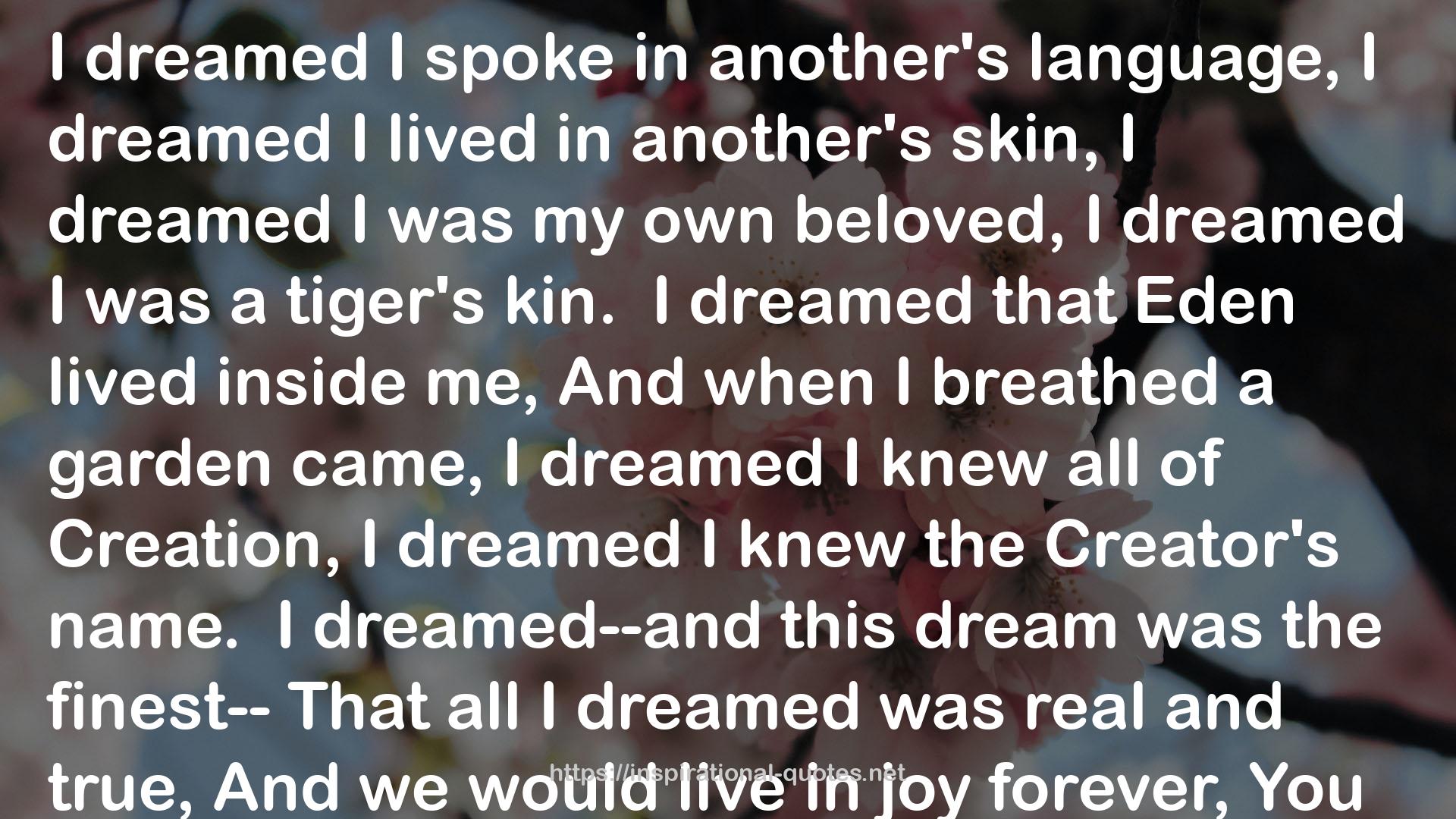 this dream  QUOTES