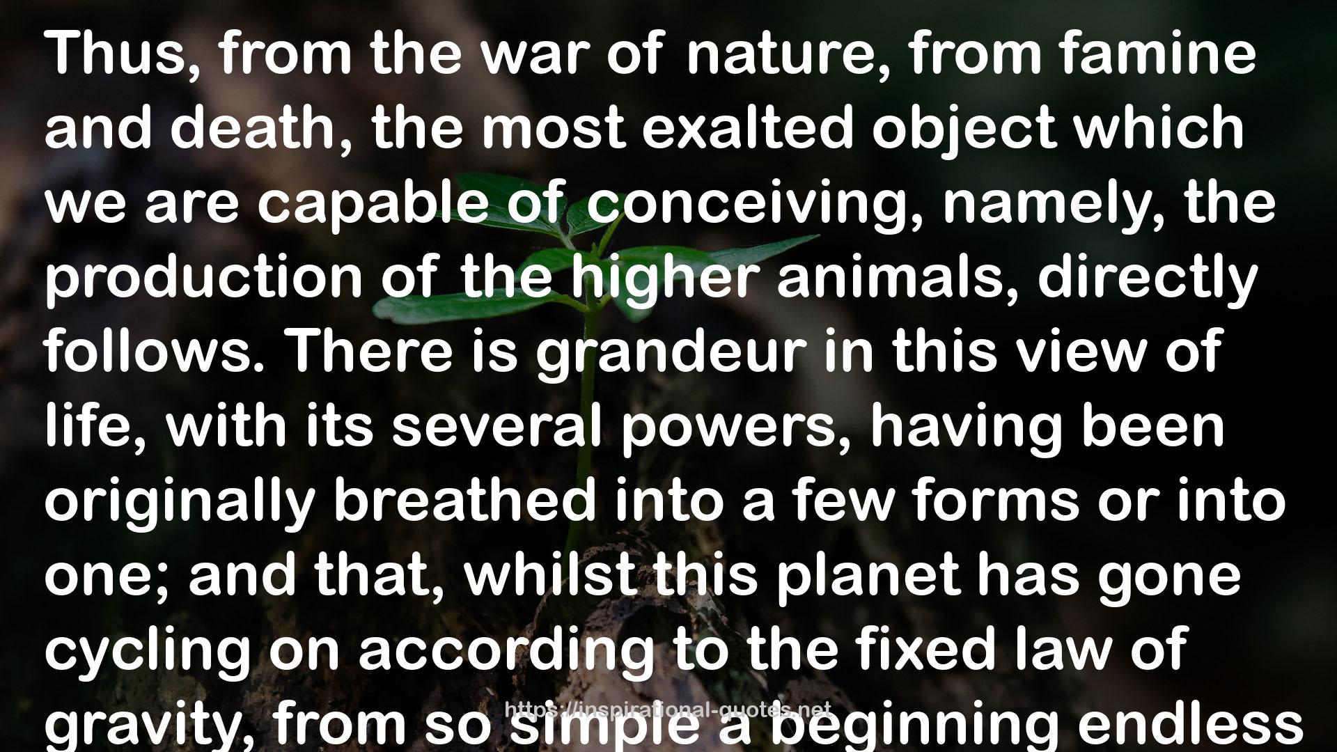 The Origin of Species QUOTES