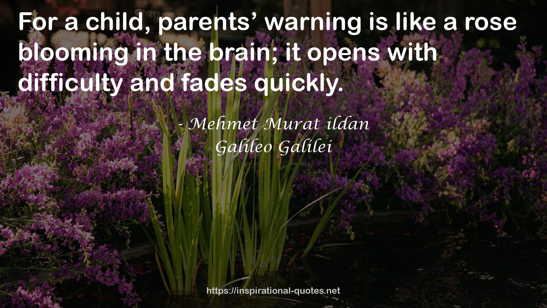 parents’ warning  QUOTES