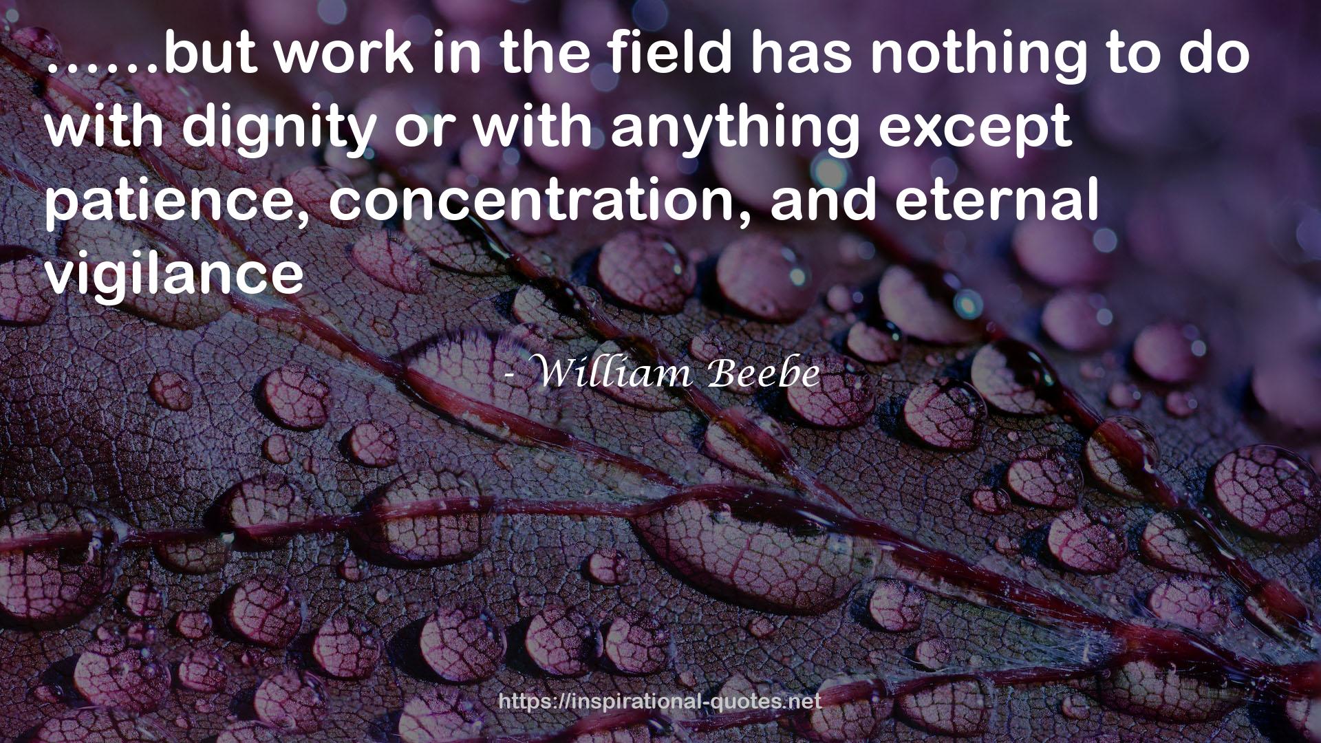 William Beebe QUOTES