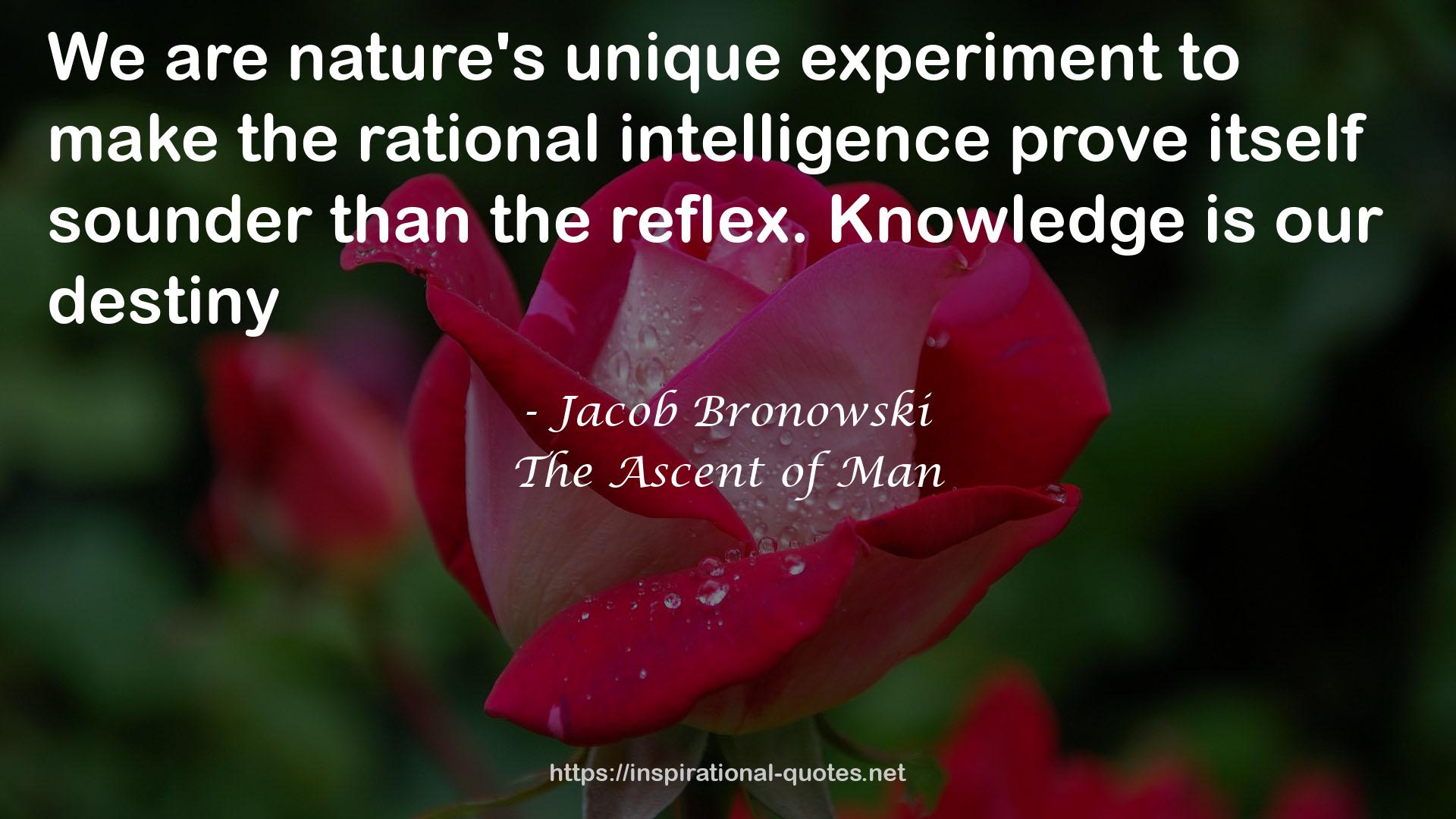 the rational intelligence  QUOTES