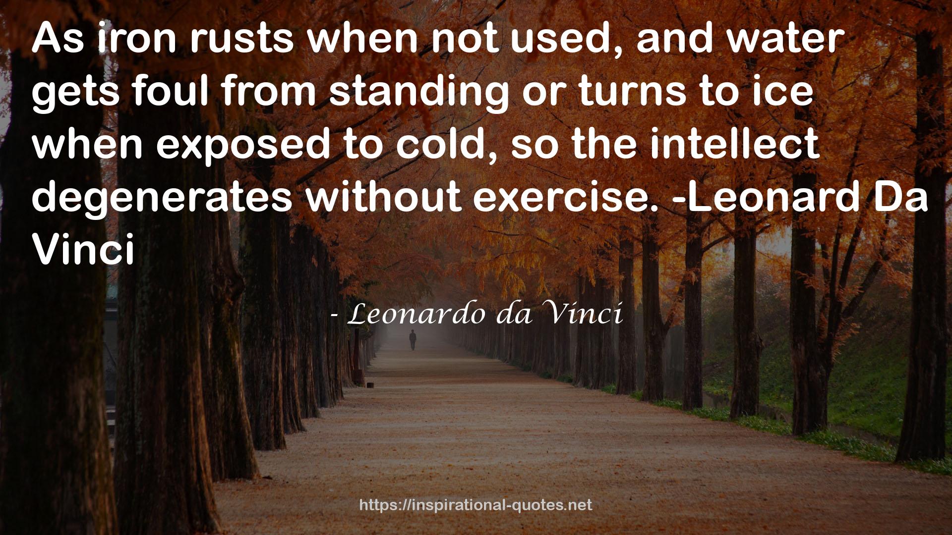 exercise.-Leonard  QUOTES