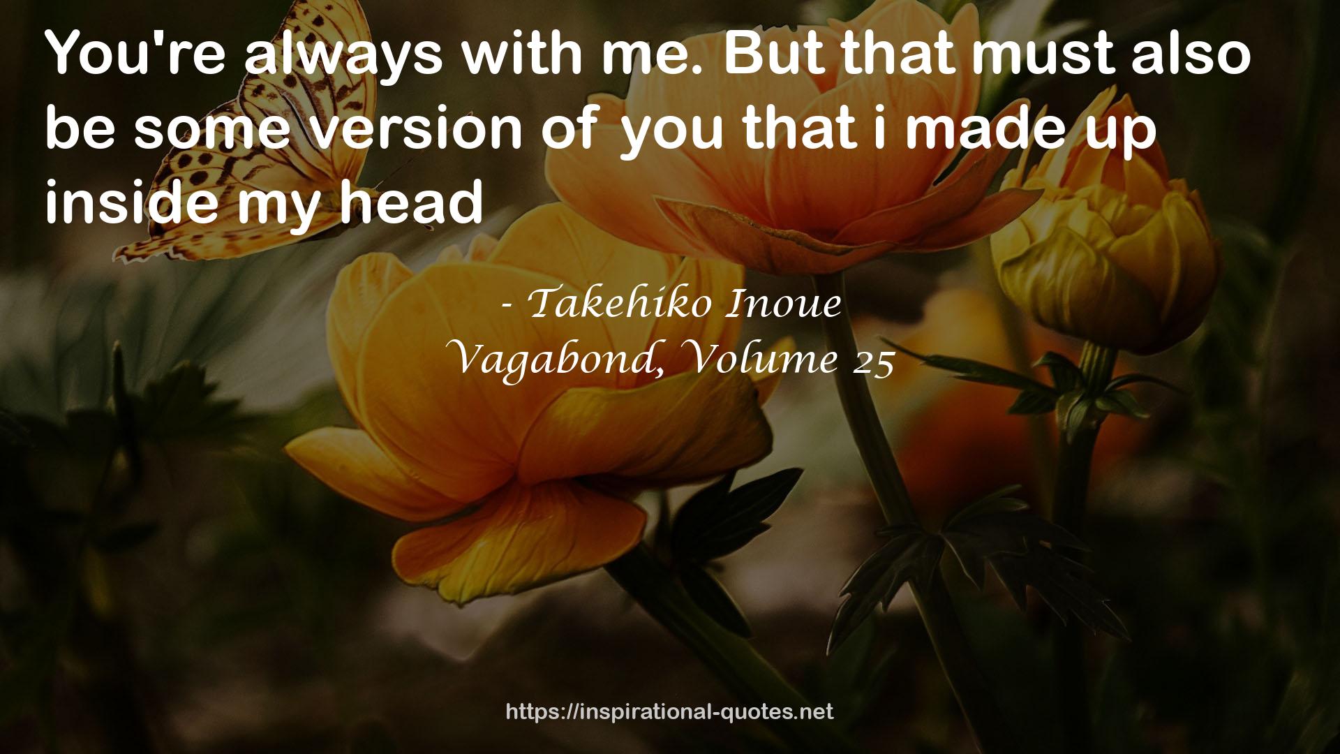 Vagabond, Volume 25 QUOTES