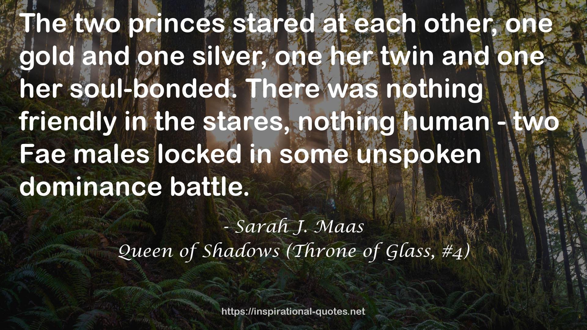 Queen of Shadows (Throne of Glass, #4) QUOTES