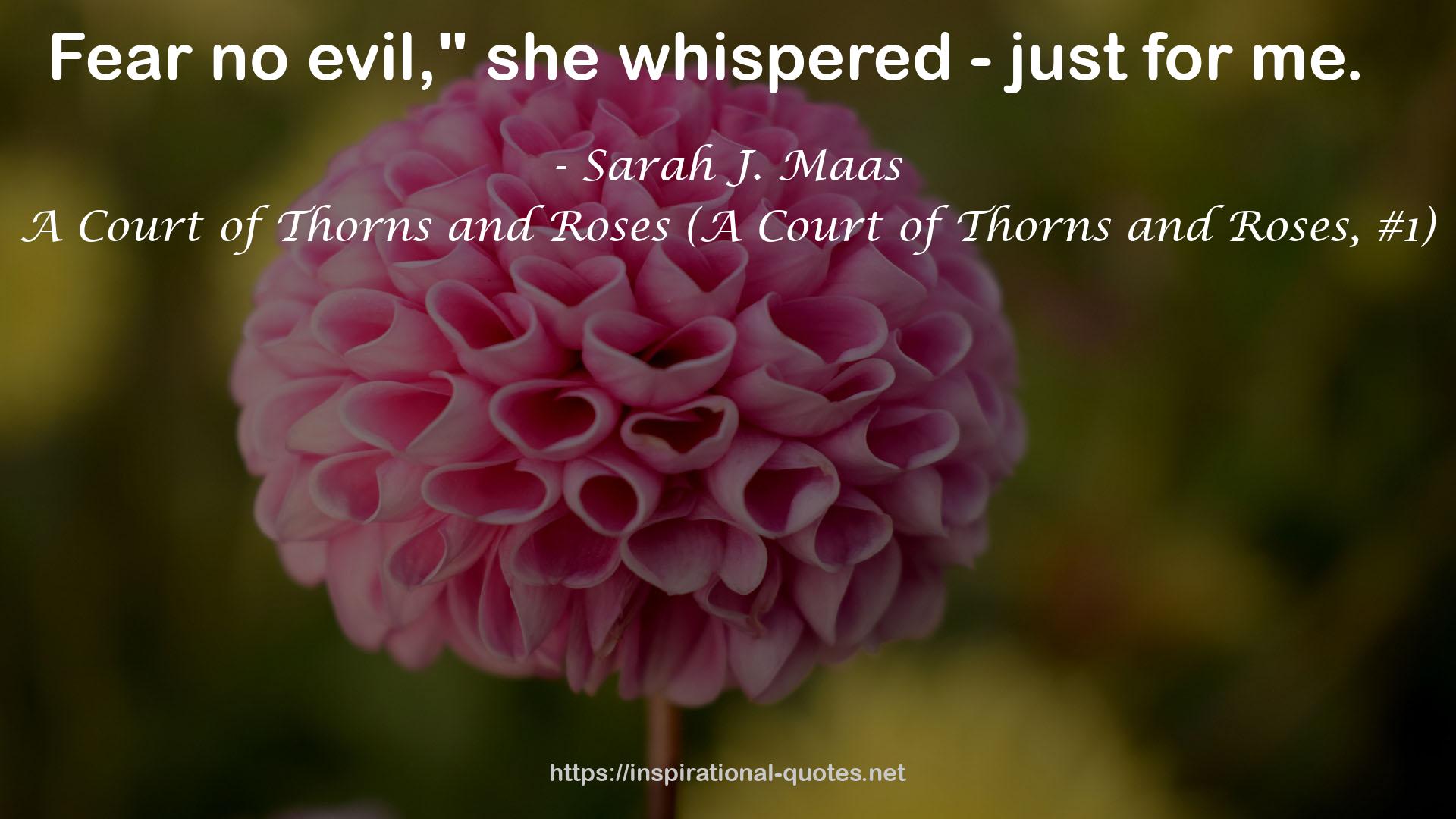 A Court of Thorns and Roses (A Court of Thorns and Roses, #1) QUOTES