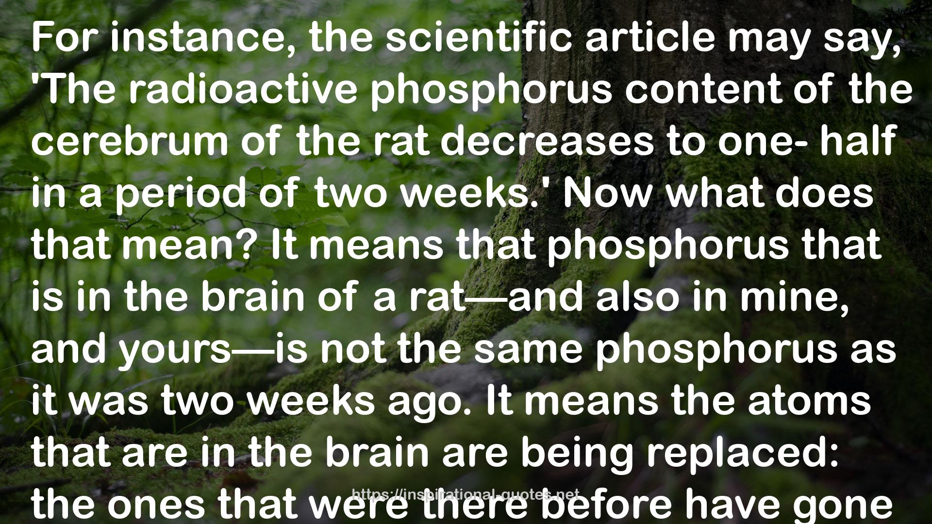 the cerebrum  QUOTES