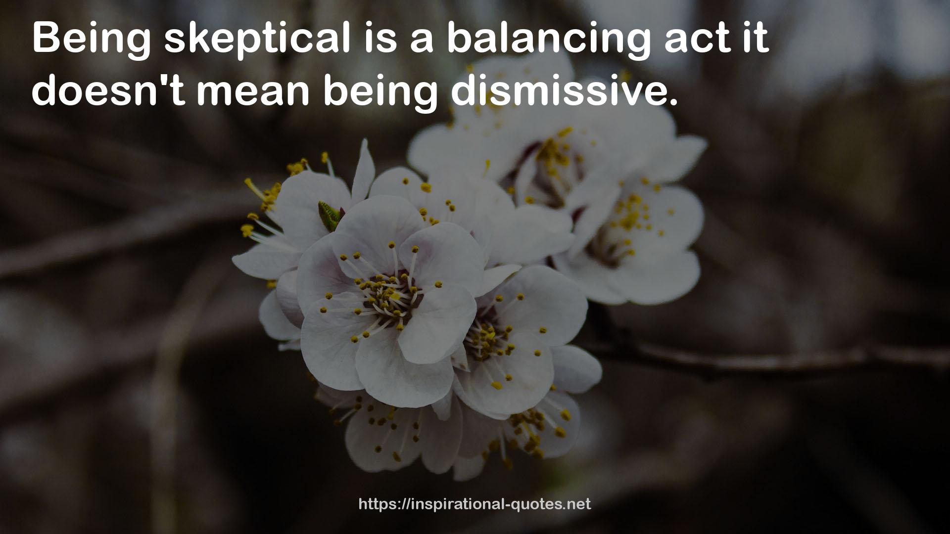 a balancing act  QUOTES