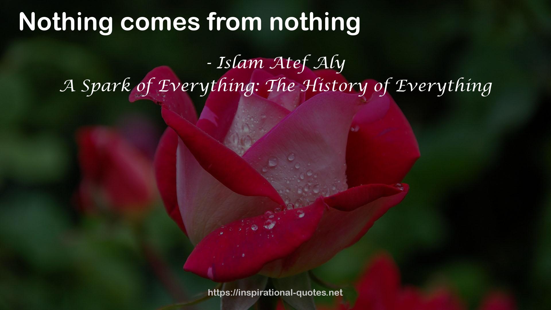 A Spark of Everything: The History of Everything QUOTES