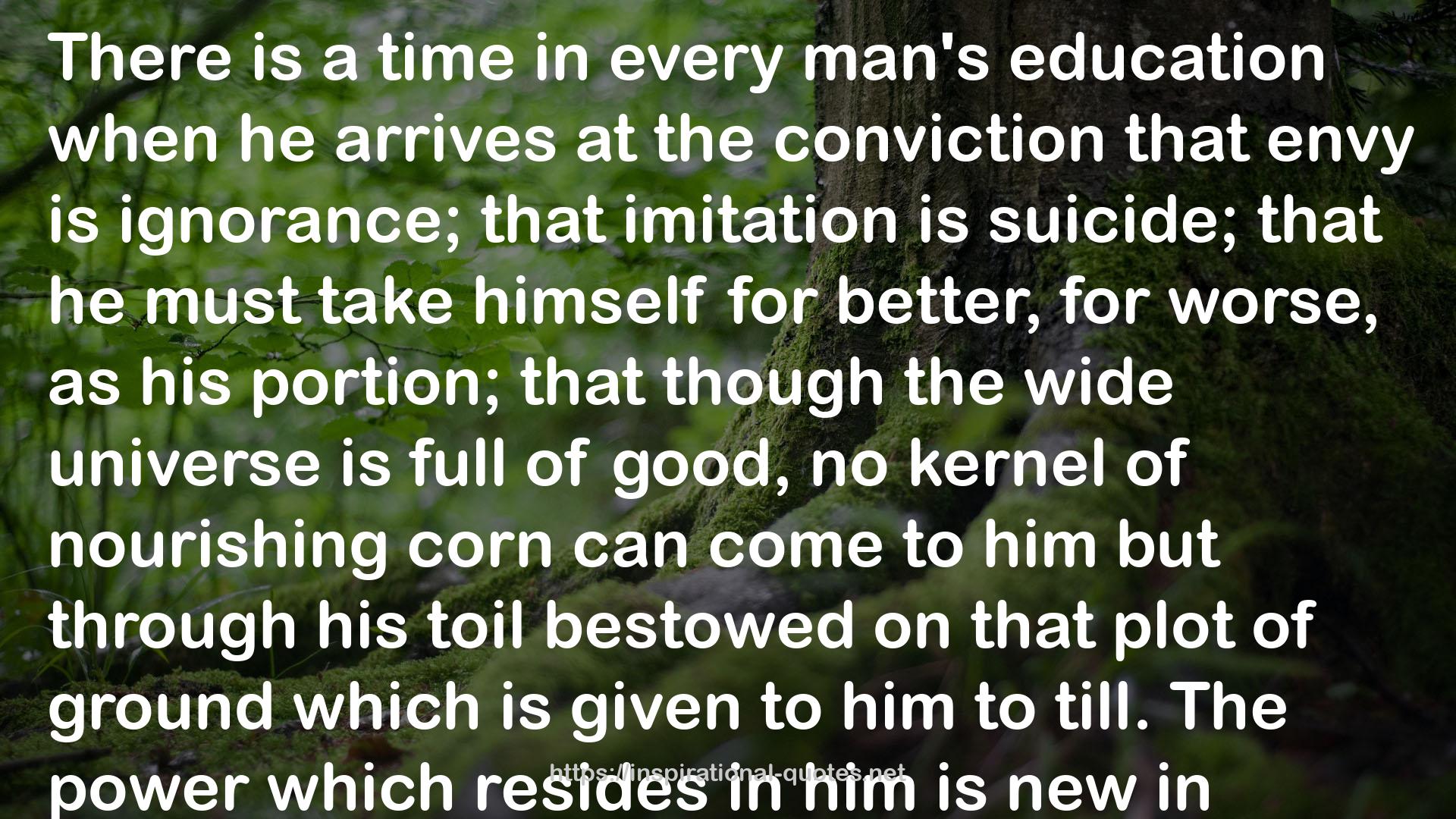 corn  QUOTES