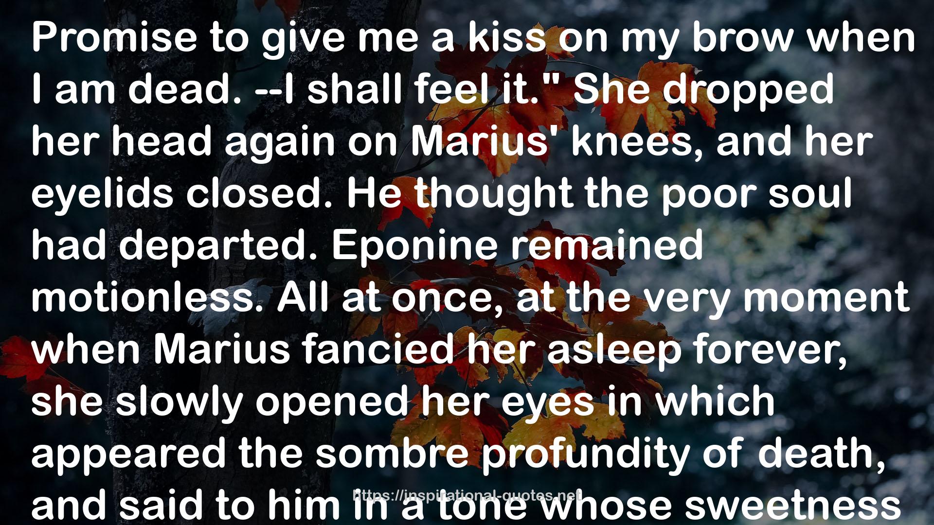 Eponine  QUOTES