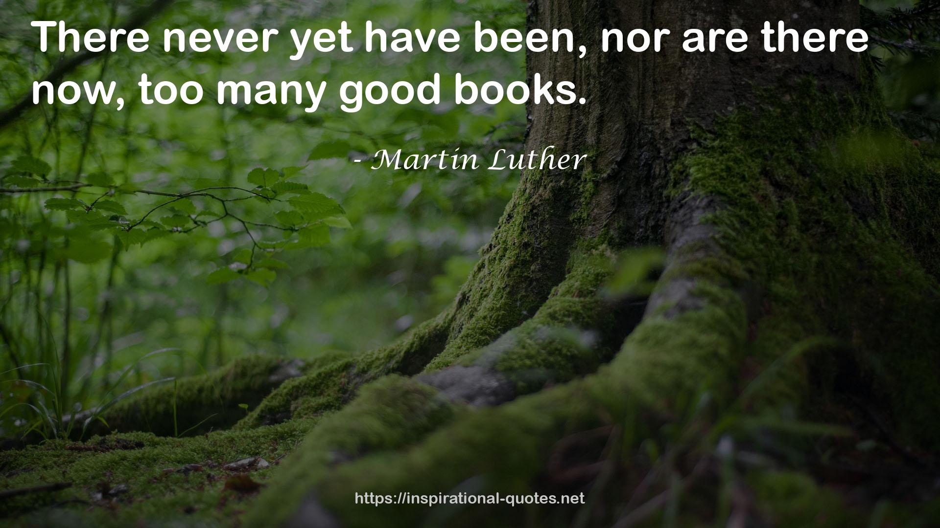too many good books  QUOTES