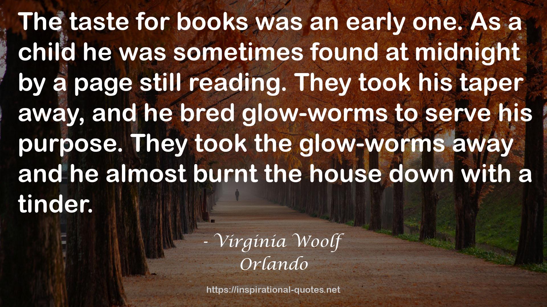 the glow-worms  QUOTES