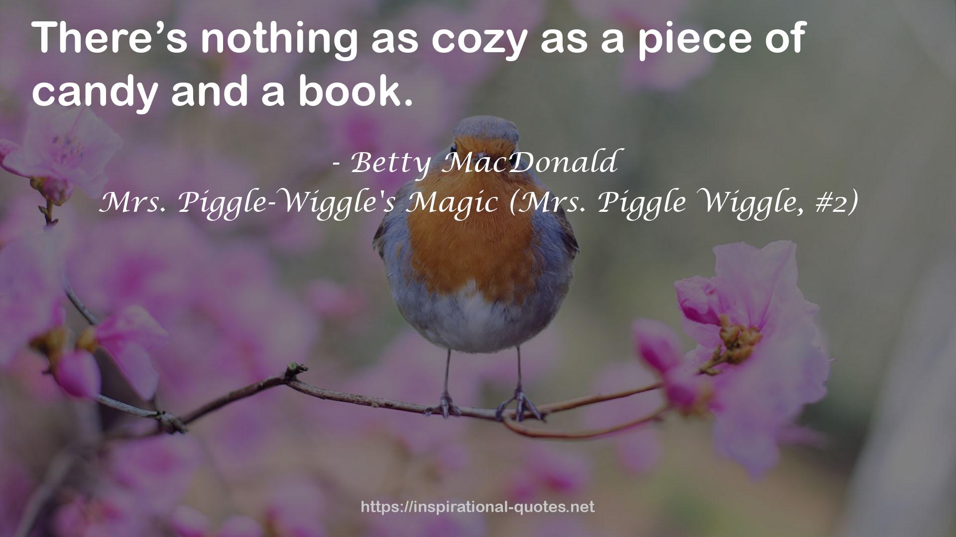 Mrs. Piggle-Wiggle's Magic (Mrs. Piggle Wiggle, #2) QUOTES