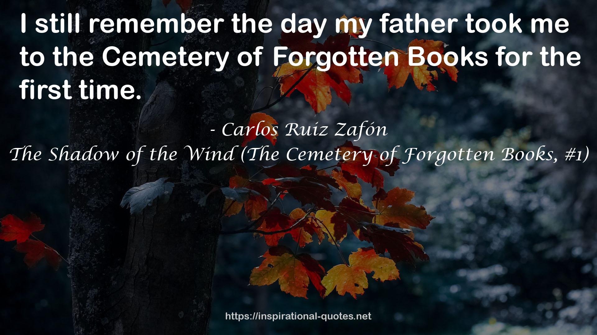 the Cemetery of Forgotten Books  QUOTES