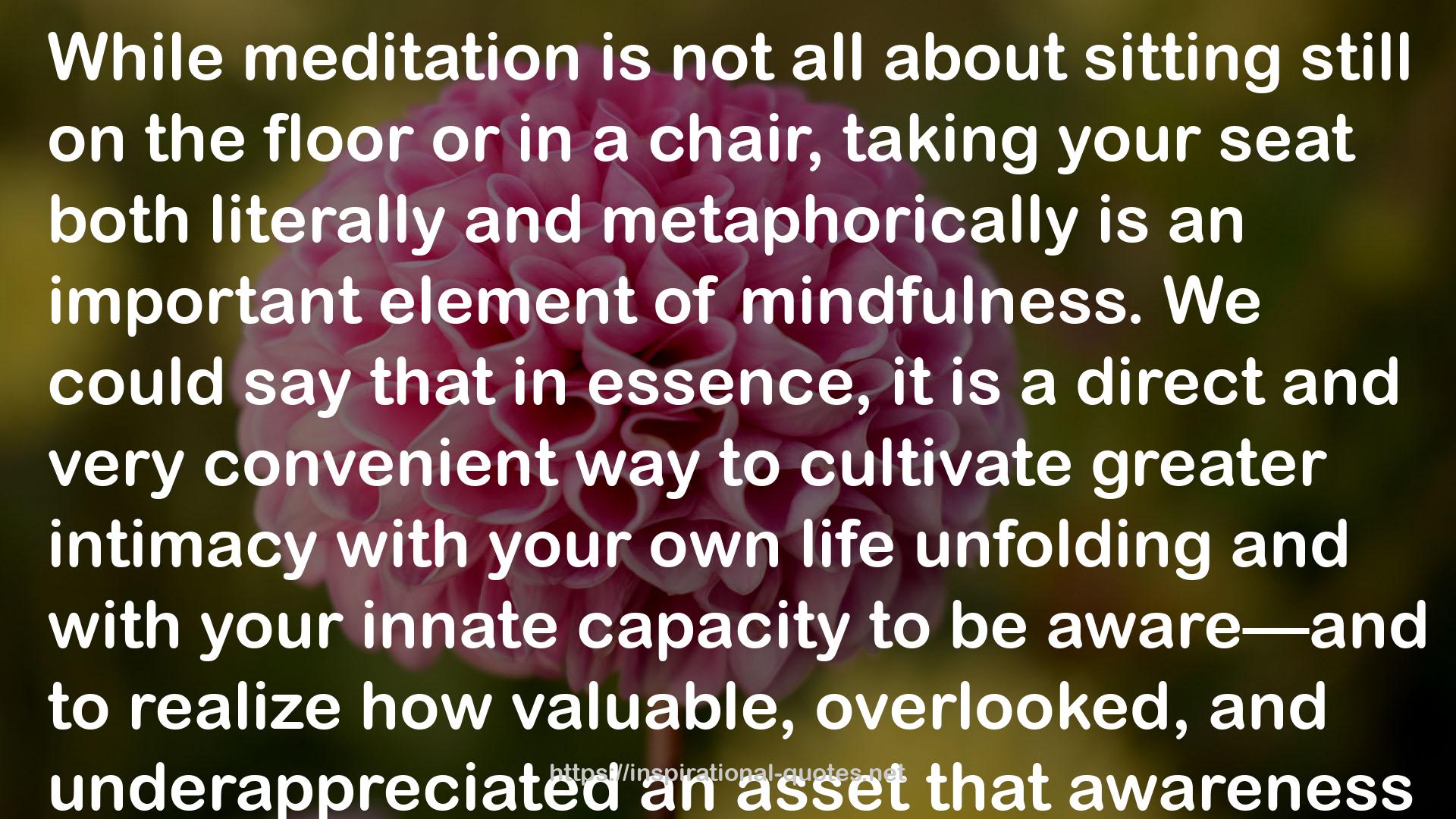 Meditation Is Not What You Think: Mindfulness and Why It Is So Important QUOTES