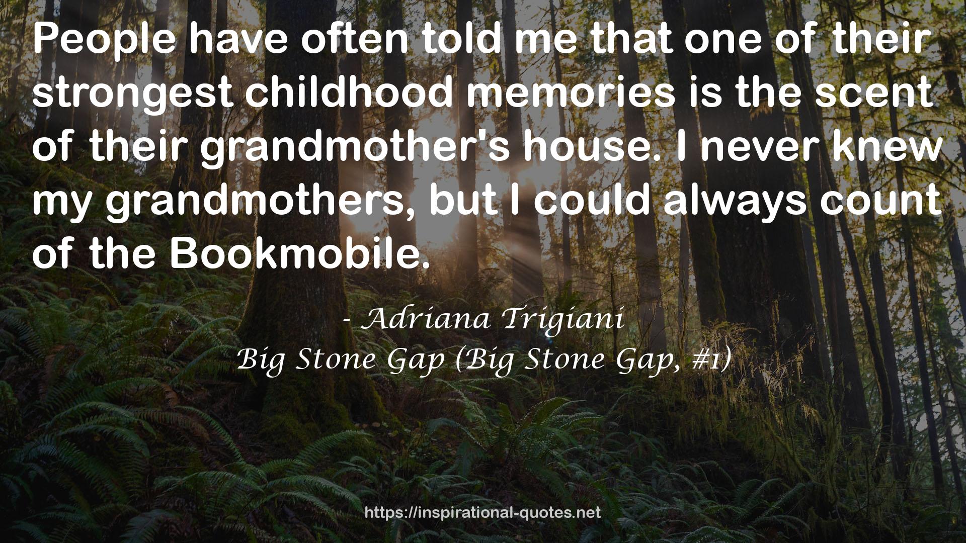 Big Stone Gap (Big Stone Gap, #1) QUOTES