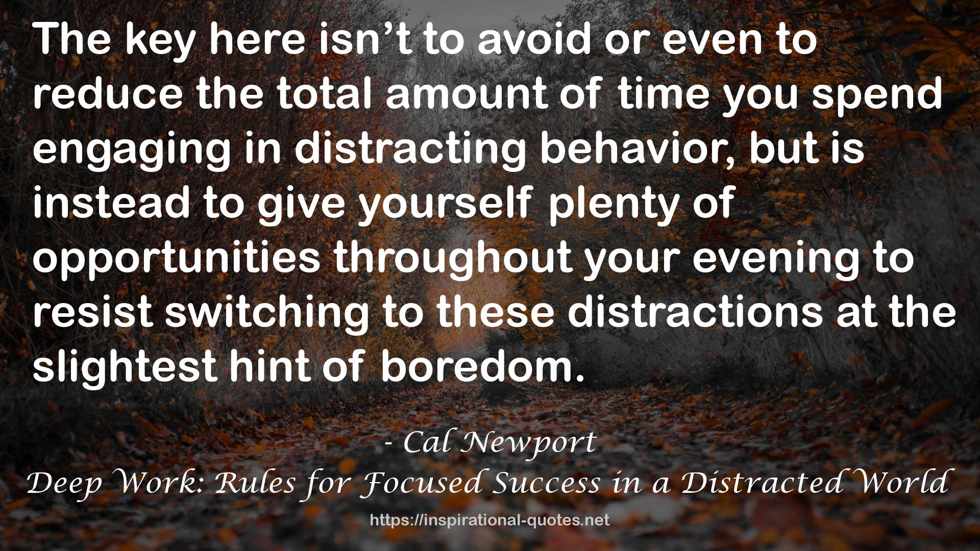 Deep Work: Rules for Focused Success in a Distracted World QUOTES