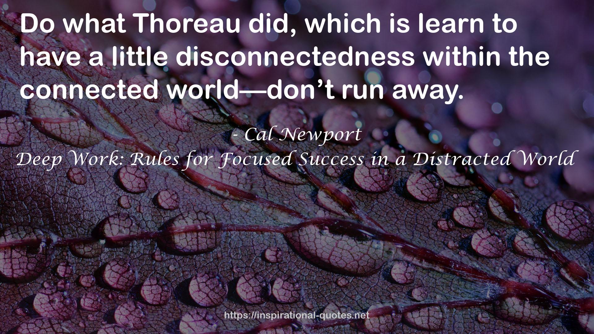 Deep Work: Rules for Focused Success in a Distracted World QUOTES