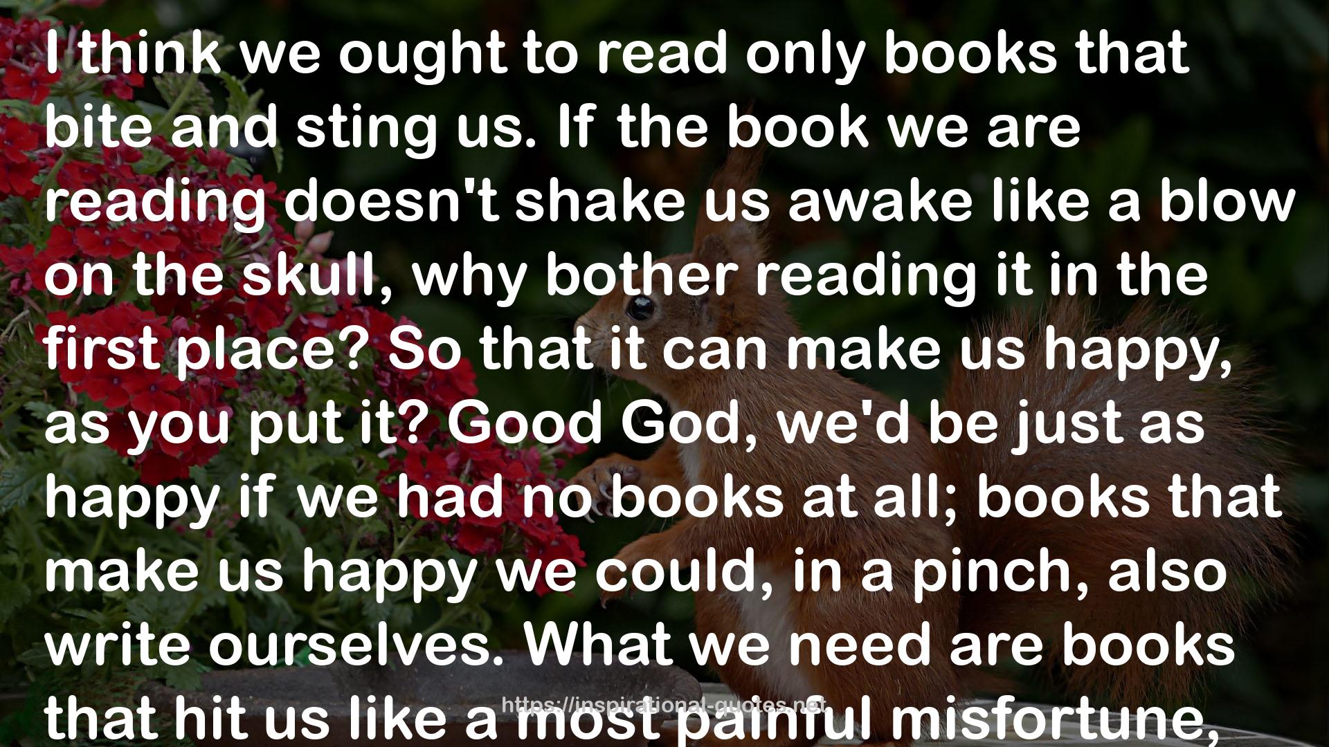 only books  QUOTES