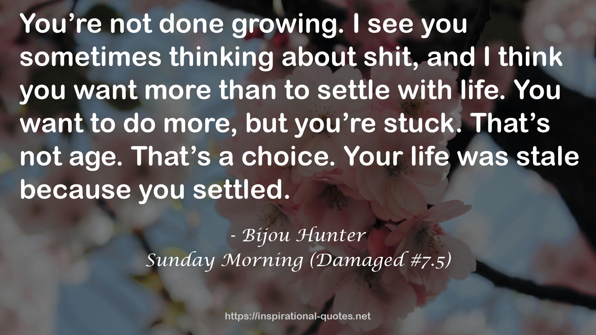 Sunday Morning (Damaged #7.5) QUOTES