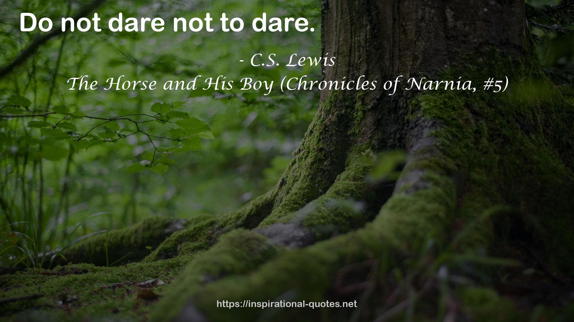 The Horse and His Boy (Chronicles of Narnia, #5) QUOTES