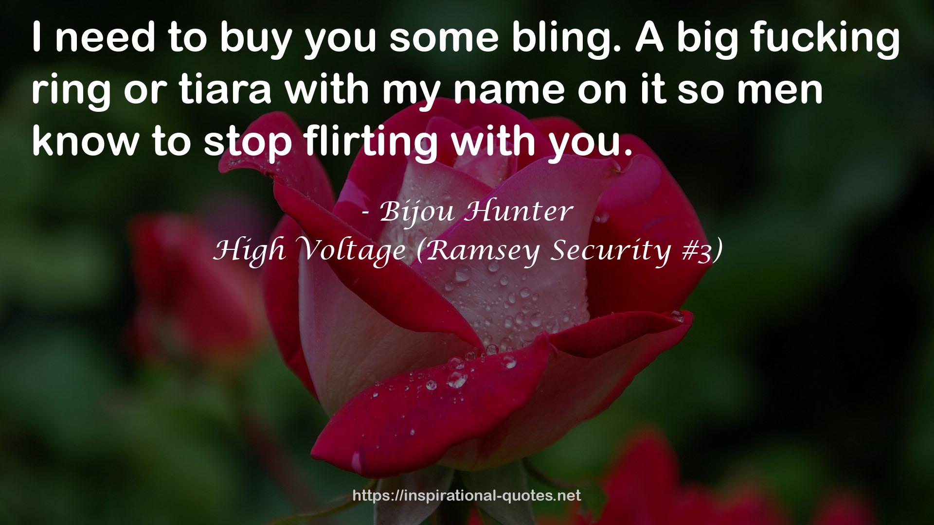 High Voltage (Ramsey Security #3) QUOTES